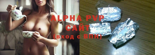 гашик Надым
