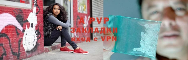 гашик Надым