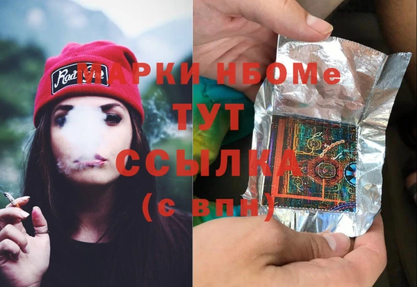 гашик Надым