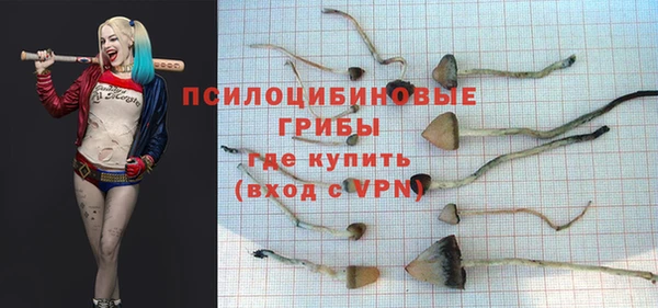 гашик Надым