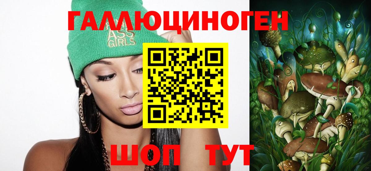 где можно купить наркотик  Белорецк  Псилоцибиновые грибы Cubensis 