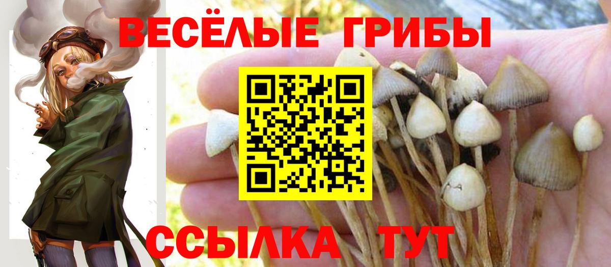 Псилоцибиновые грибы GOLDEN TEACHER  Галлюциногенные грибы MAGIC MUSHROOMS  Белорецк  Вход с VPN 